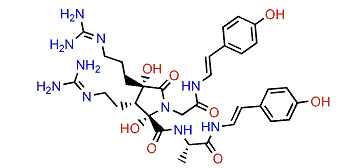Anchinopeptolide E